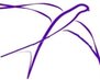 логотип ласточка
